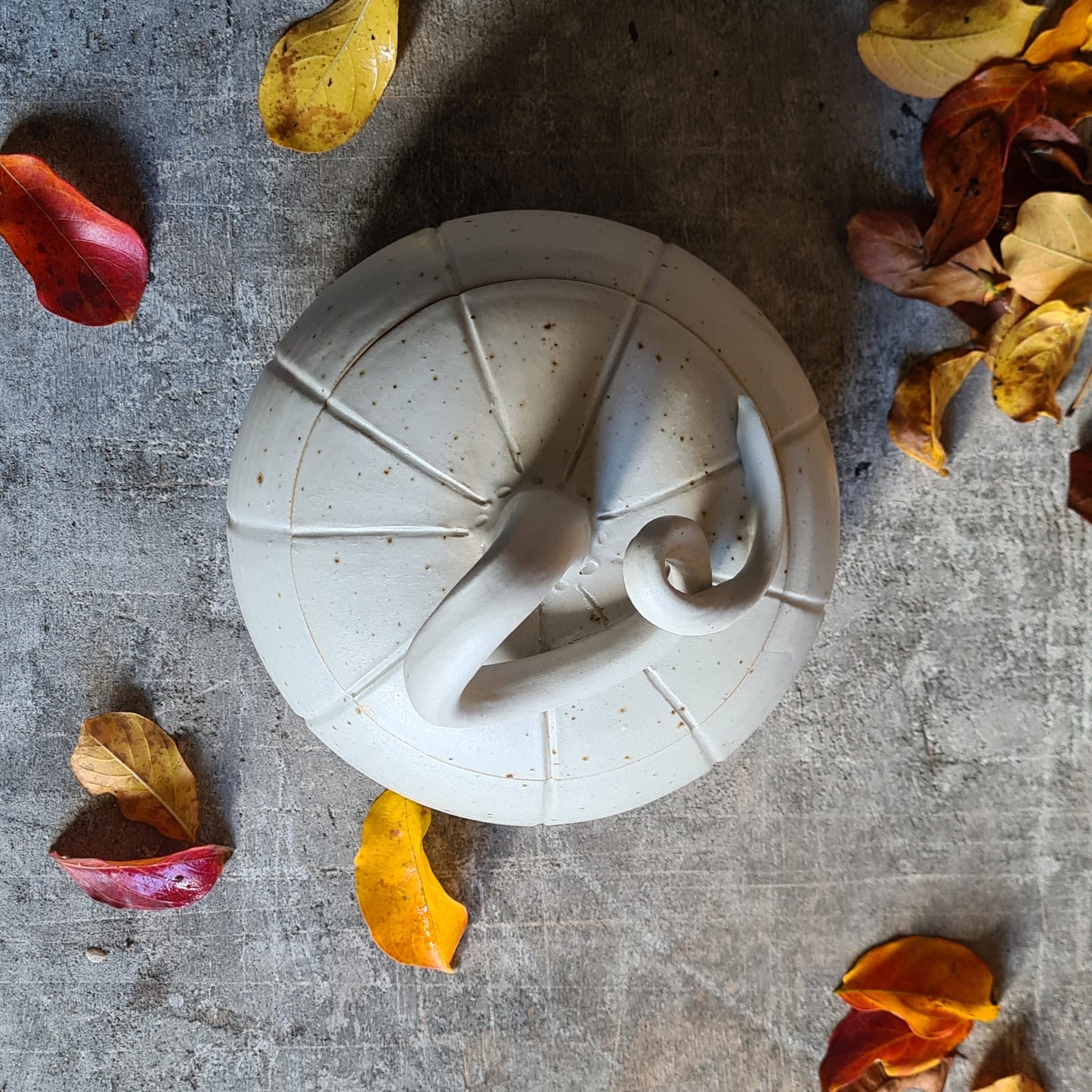 Bonbonnière / boîte citrouille