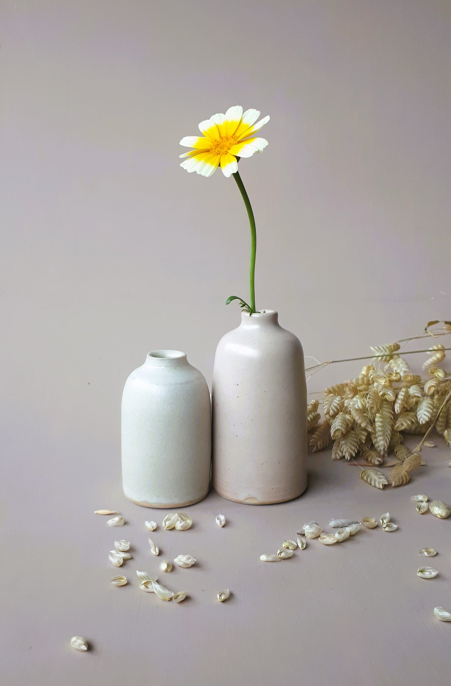 Soliflore "Nude"