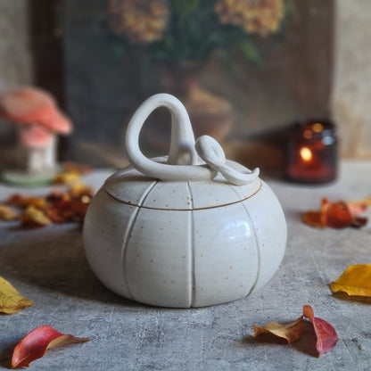 Bonbonnière / boîte citrouille