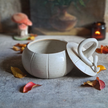 Bonbonnière / boîte citrouille