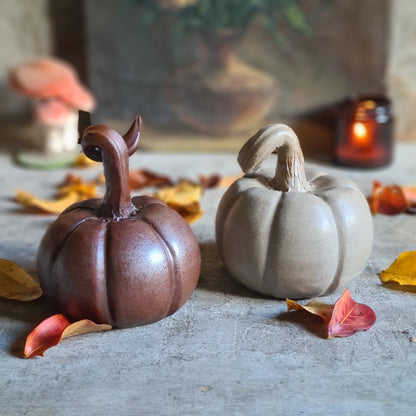 Citrouille décorative