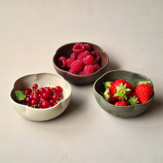 bols en situation contenant fraises, framboises et groseilles